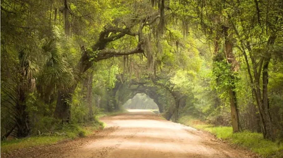 Dirt road through Botany Bay
